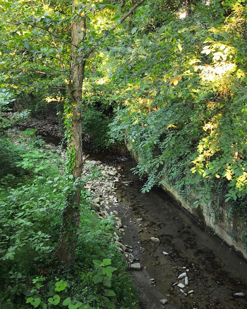 Картинка отеля - 14