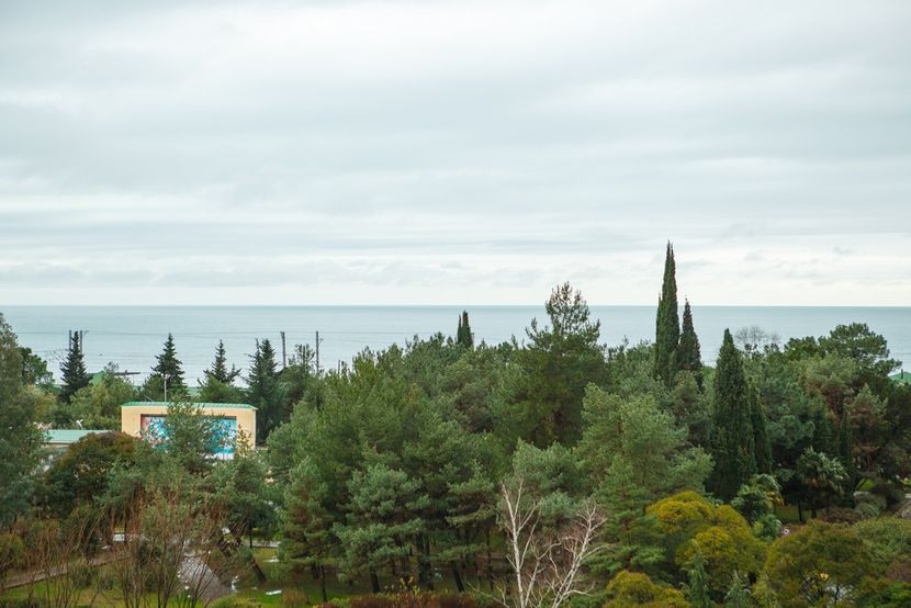 ГРЕЙС АРЛИ, гостиница - 5