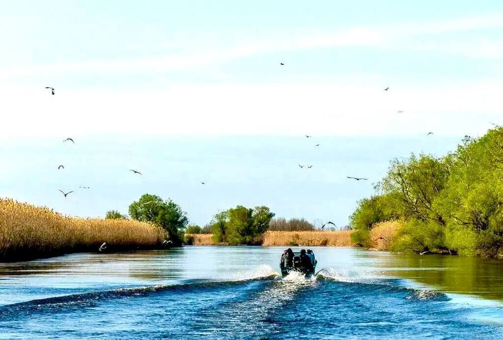 РЫБАГРАДЪ, гостинично-туристический комплекс - 19