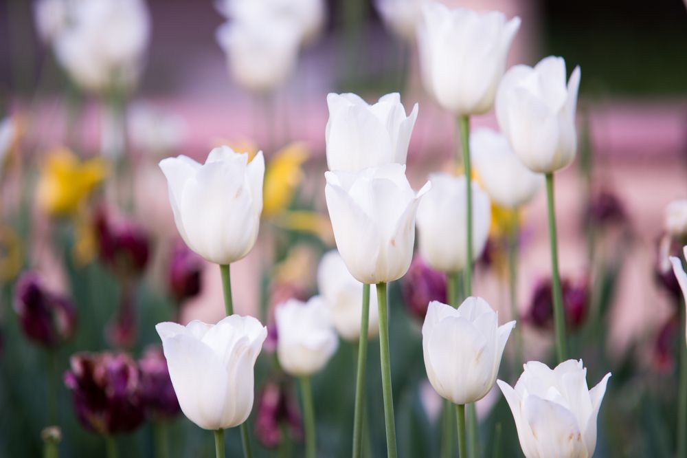 AZIMUT ЗДОРОВЬЕ ДОЛИНА НАРЗАНОВ, санаторий (лечение детей с 4 лет) - 12