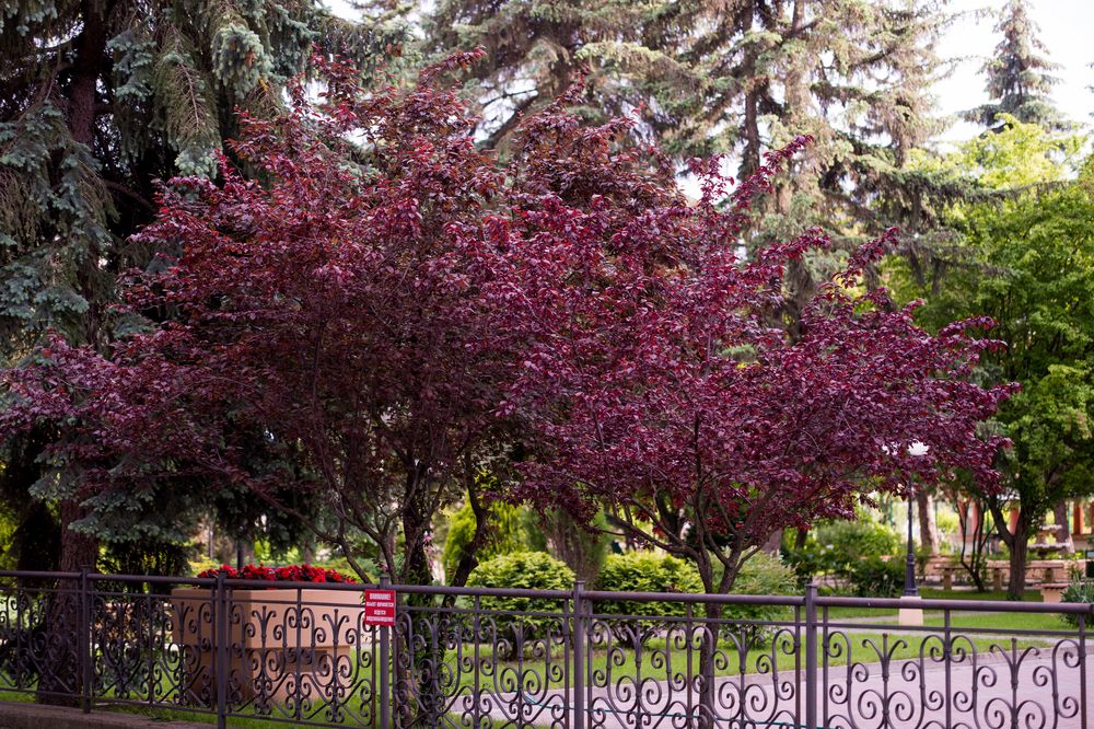 Картинка отеля - 9