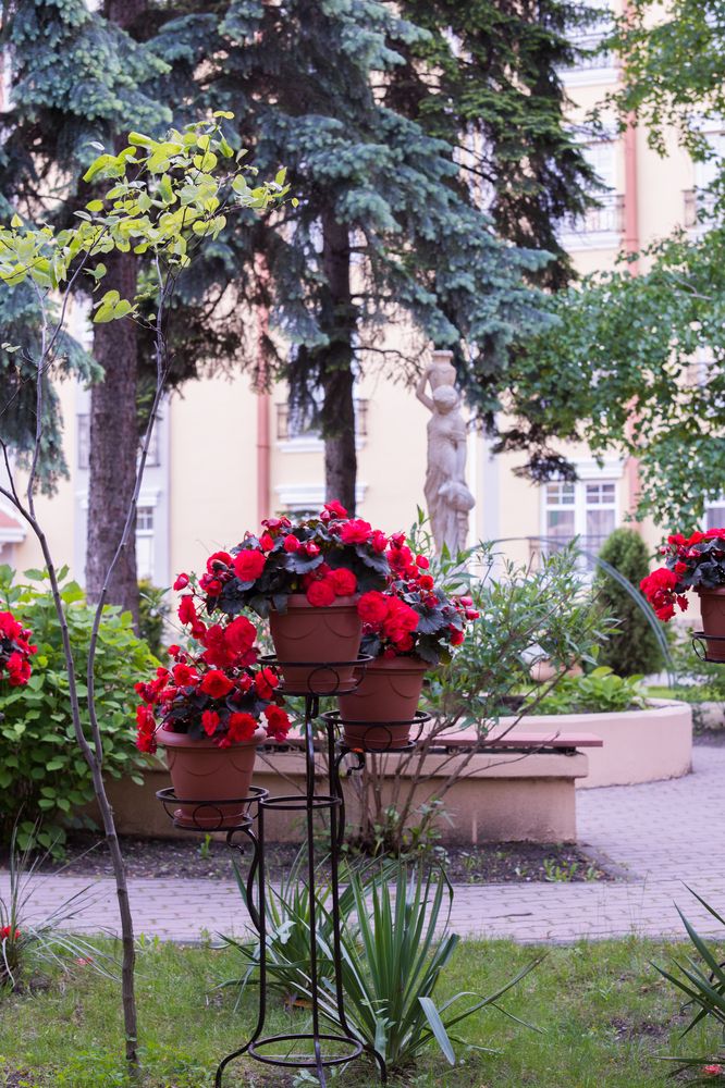 Картинка отеля - 8