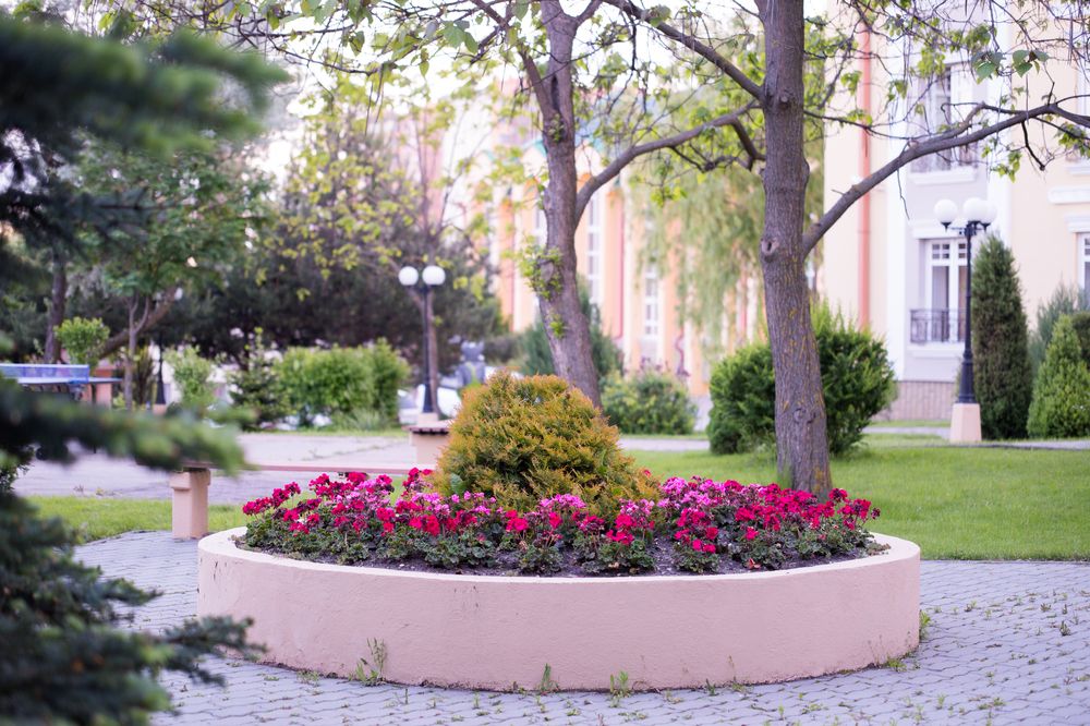 Картинка отеля - 6