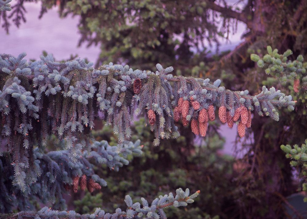 Картинка отеля - 3