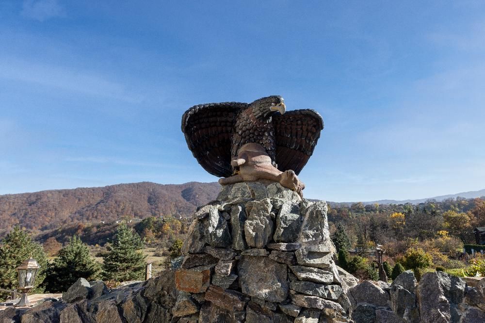 ДОЛИНА НАРЗАНОВ (Нальчик), санаторий (лечение детей с 4 лет) - 9