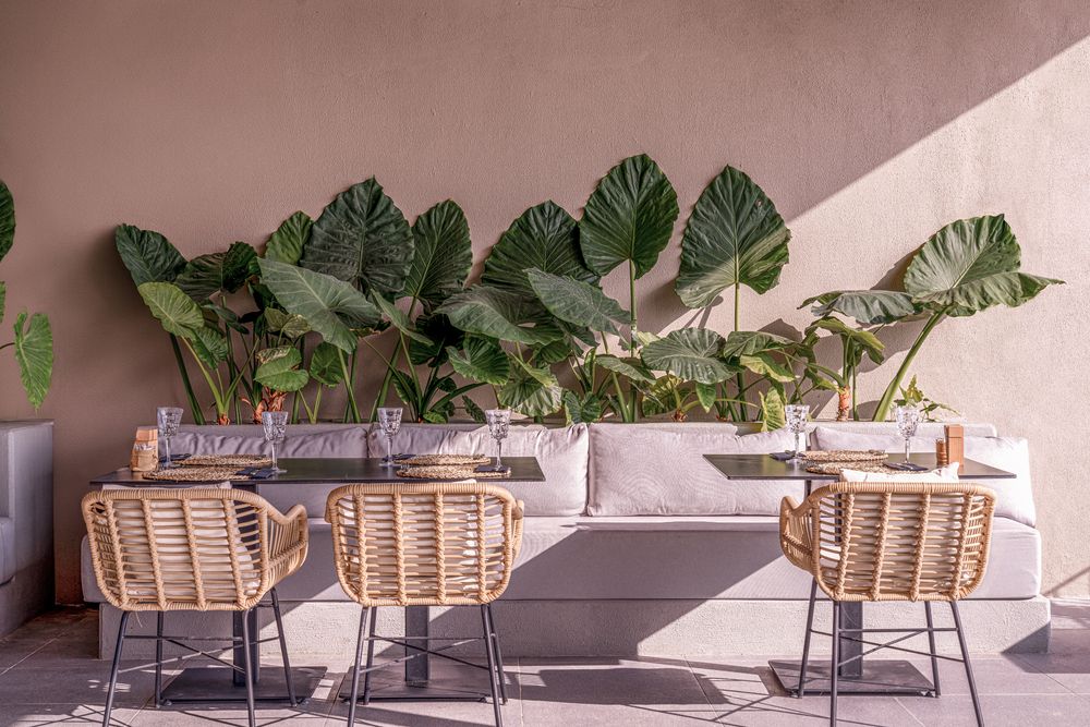 Balmy Beach Resort Kemer (only adults 18+) - 34