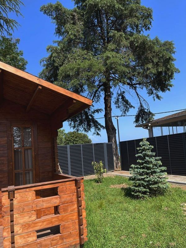 Картинка отеля - 2