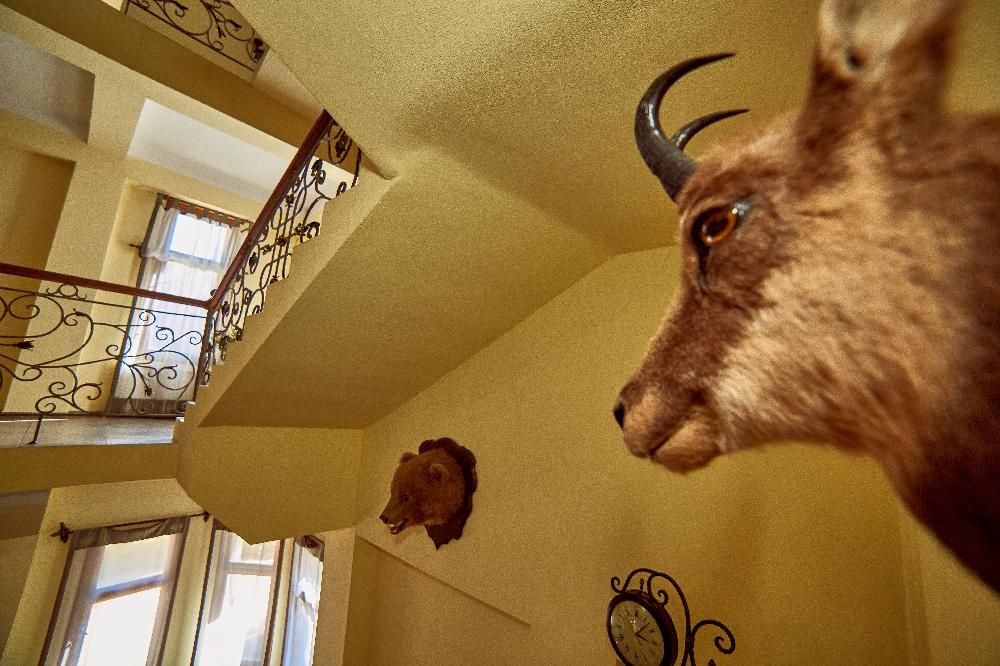 ВИЛЛА АННА, ГК - 19