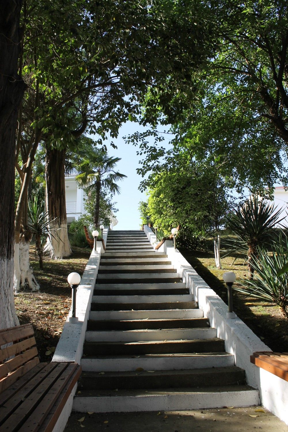 Картинка отеля - 4