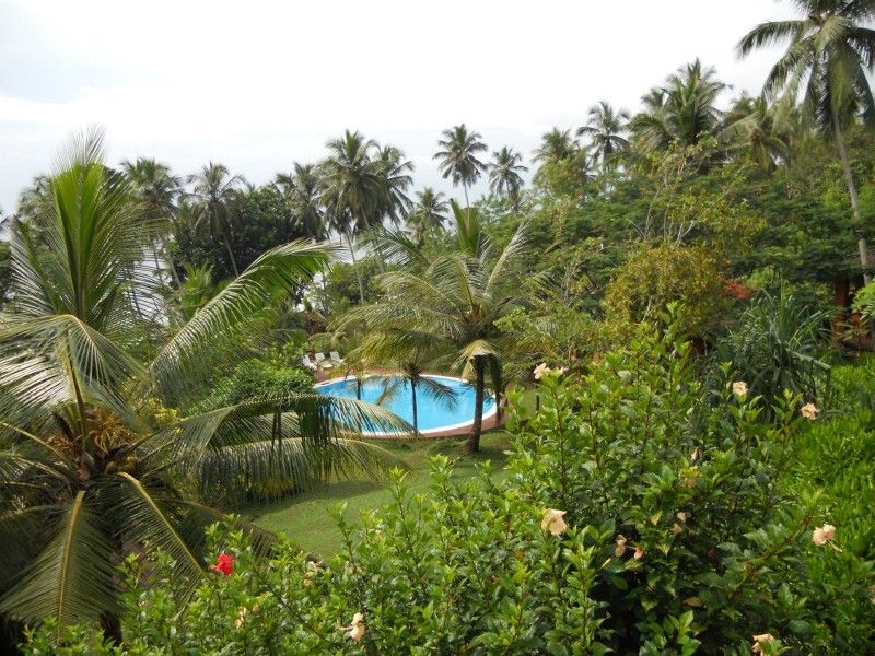 HOTEL EVA LANKA - 11