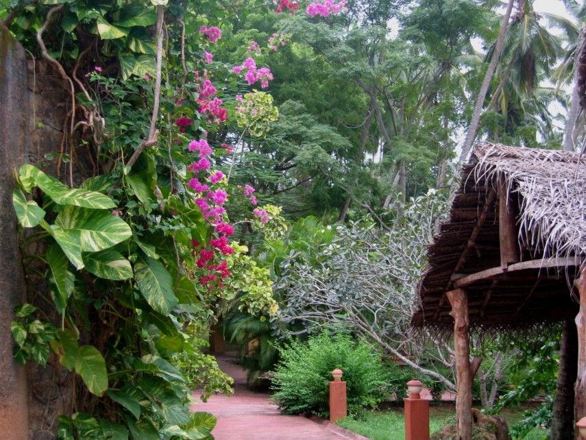 Картинка отеля - 4