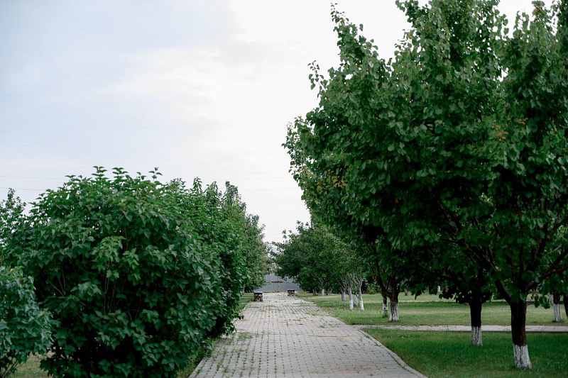 Картинка отеля - 2
