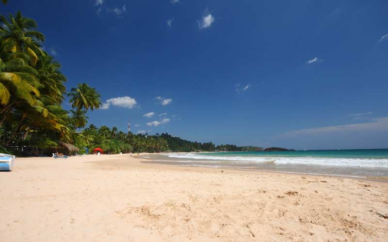PARADISE BEACH CLUB GUEST HOUSE - 5