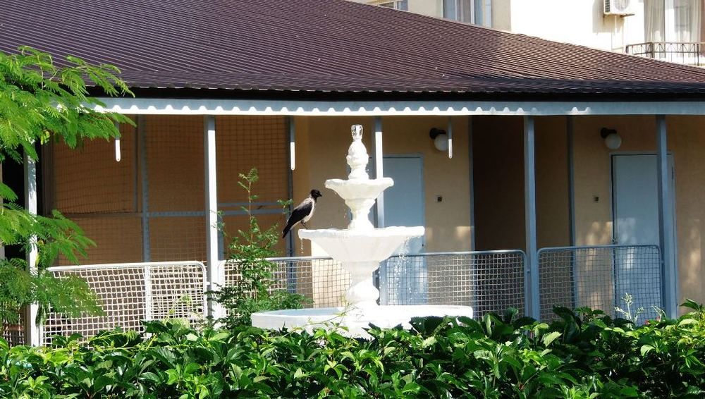 ФЕОДОСИЯ, пансионат - 3