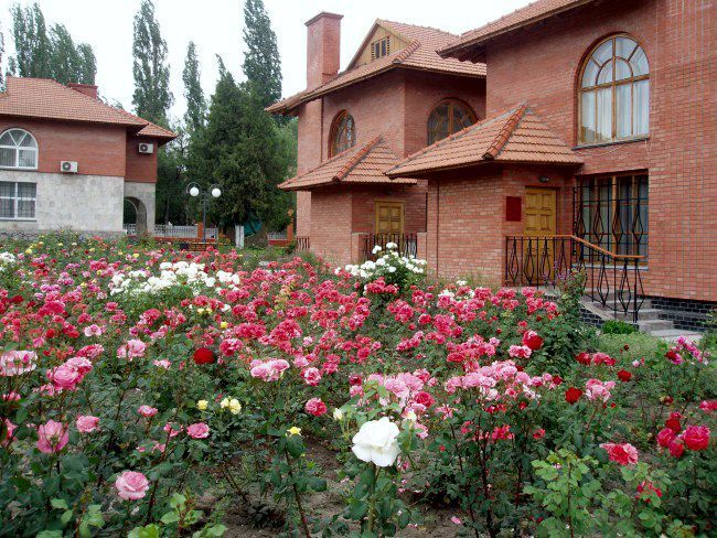 ФЕОДОСИЯ, пансионат - 4