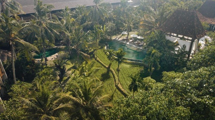 ALAYA RESORT UBUD - 2