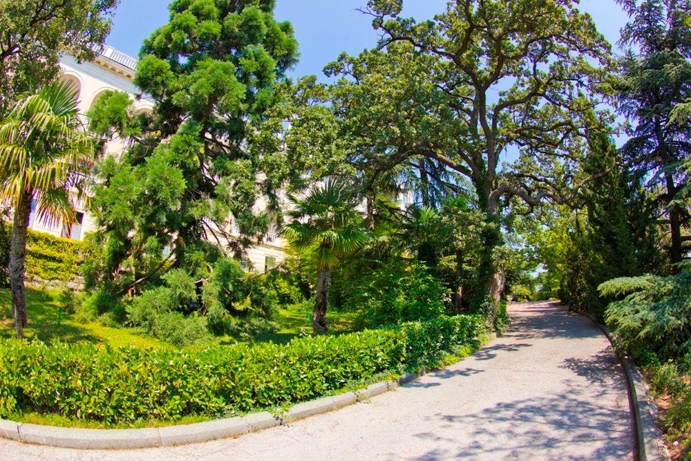 РОССИЯ, санаторий (Ялта) - 16