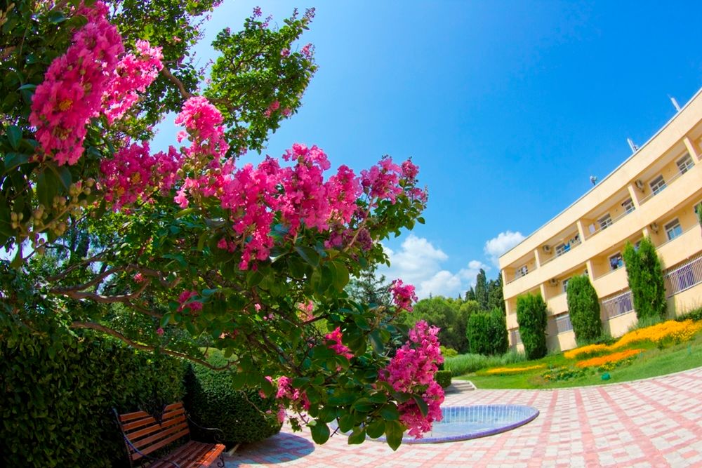 РОССИЯ, санаторий (Ялта) - 14