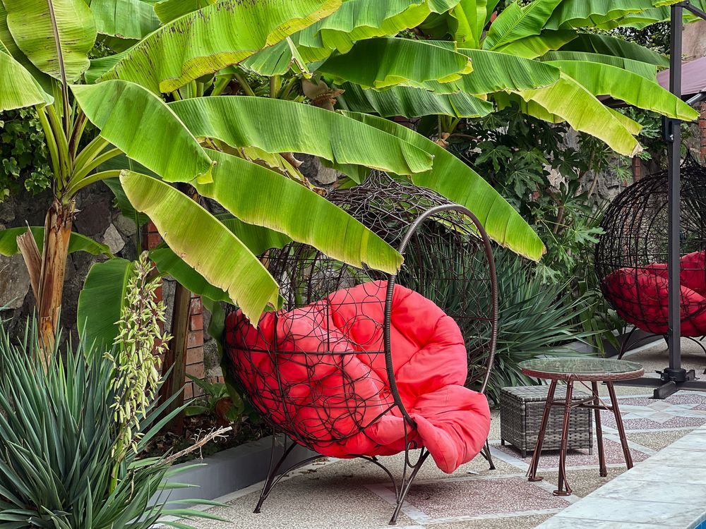 Картинка отеля - 25