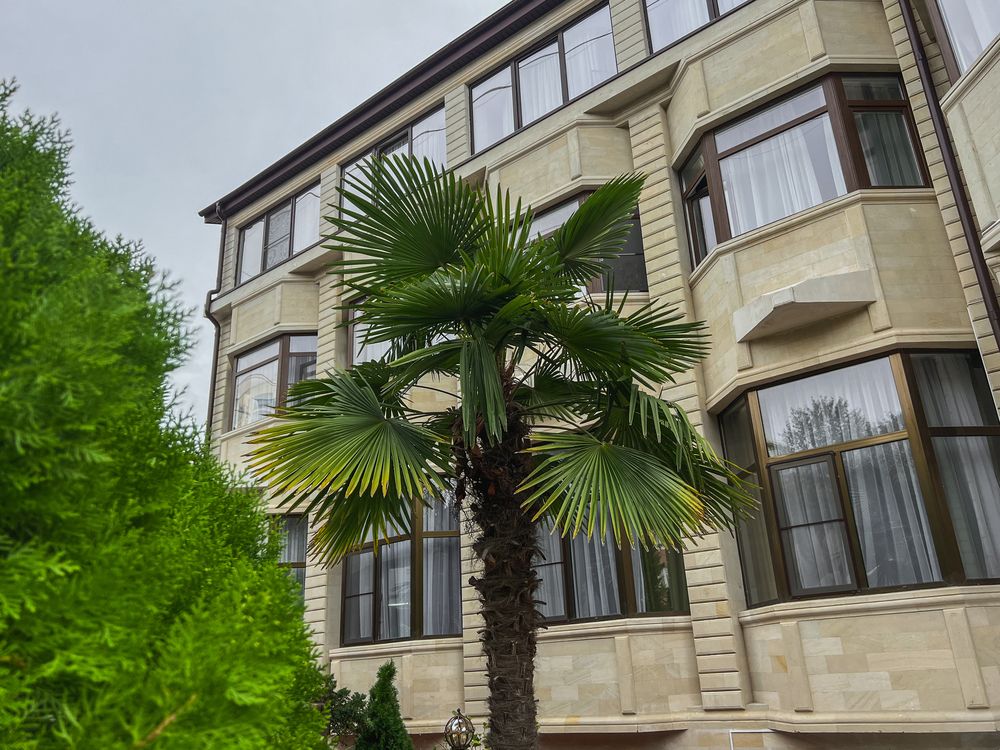 Картинка отеля - 2