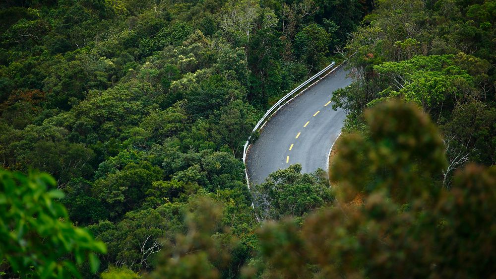 YALONG BAY EARTHY PARADISE BIRDS NEST RESORT - 13