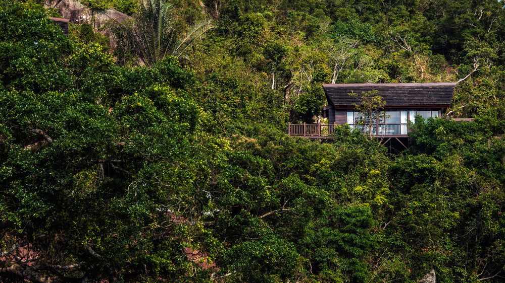 YALONG BAY EARTHY PARADISE BIRDS NEST RESORT - 10