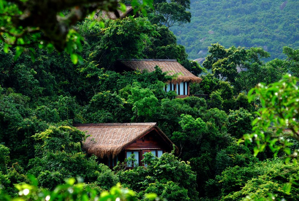 YALONG BAY EARTHY PARADISE BIRDS NEST RESORT - 7