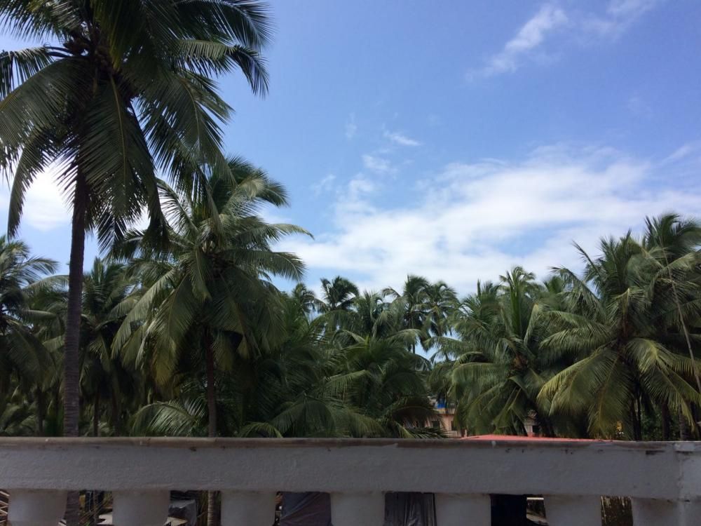 WHITE HOUSE BEACH APARTMENTS - 6