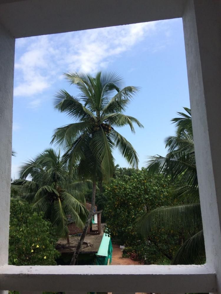 WHITE HOUSE BEACH APARTMENTS - 5