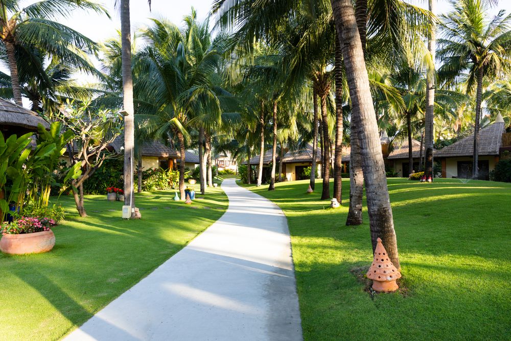 Картинка отеля - 13