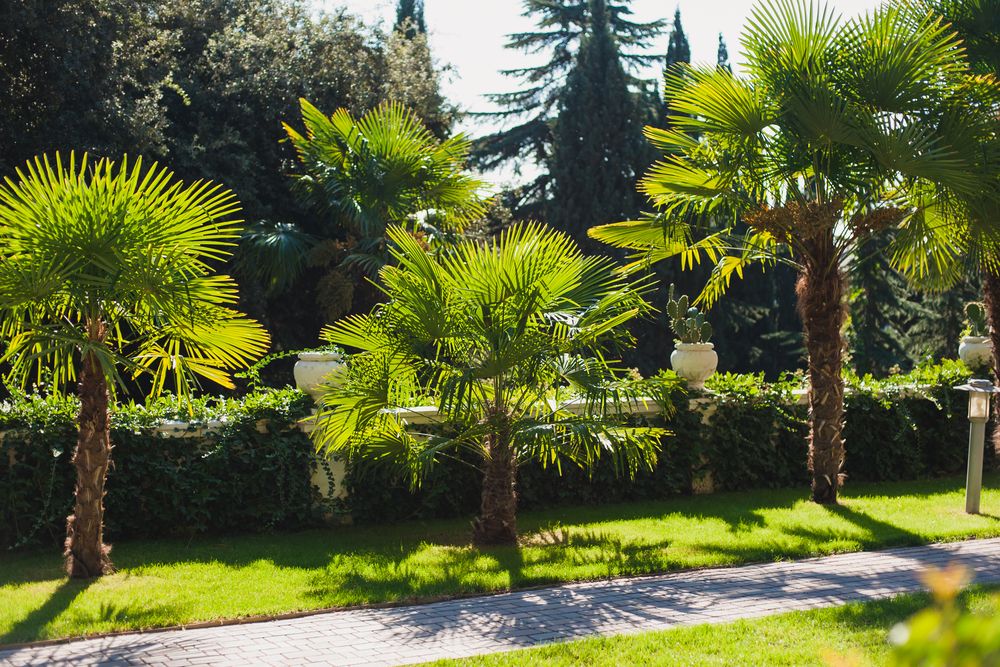 MORE SPA & RESORT (МОРЕ СПА), отель - 201