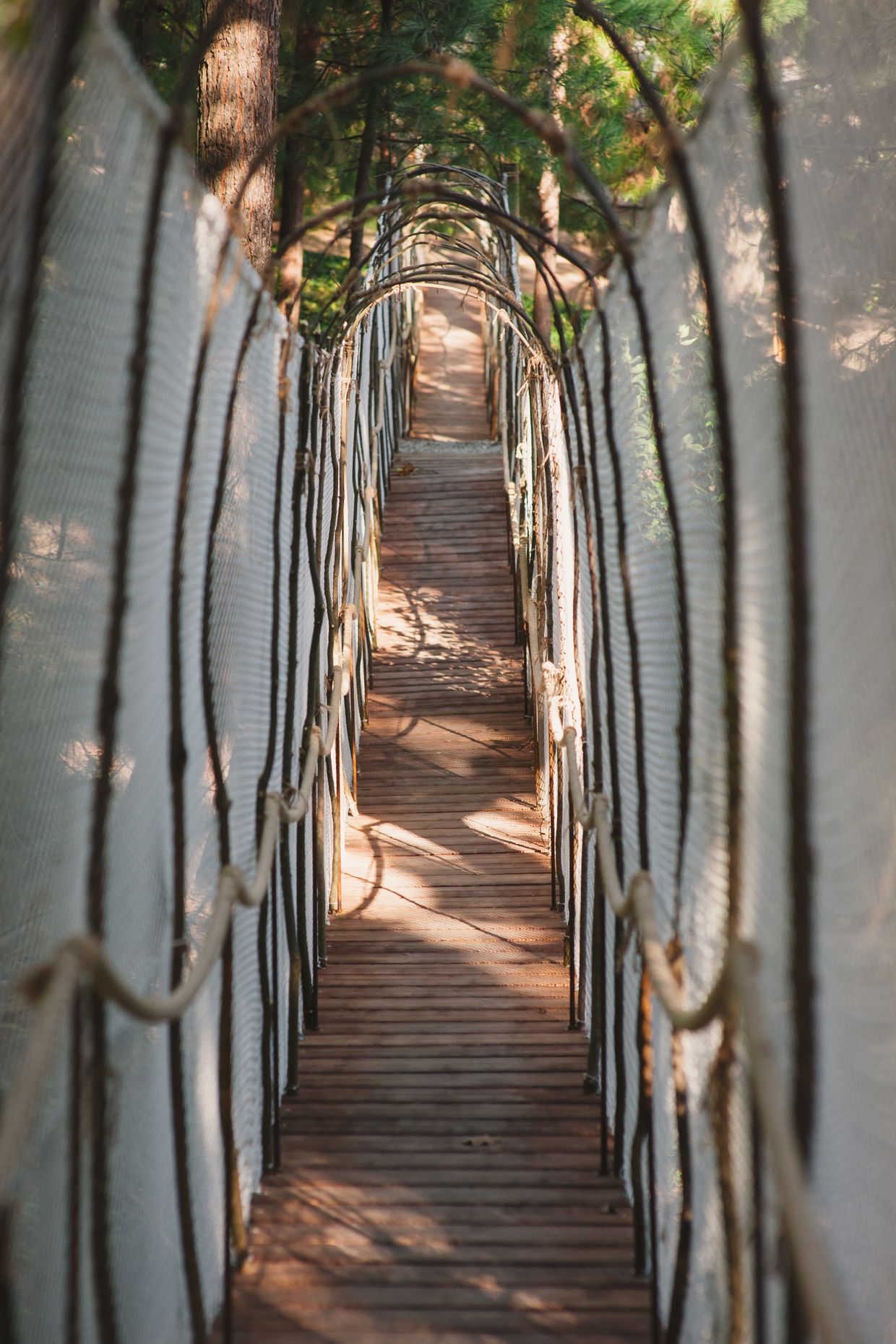 MORE SPA & RESORT (МОРЕ СПА), отель - 37