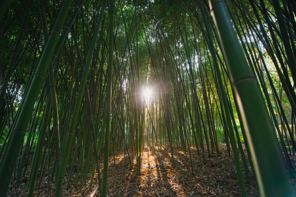 MORE SPA & RESORT (МОРЕ СПА), отель - 33