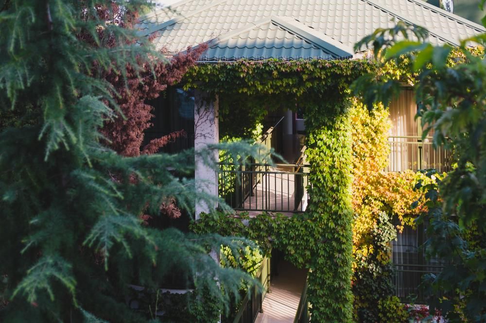 MORE SPA & RESORT (МОРЕ СПА), отель - 30