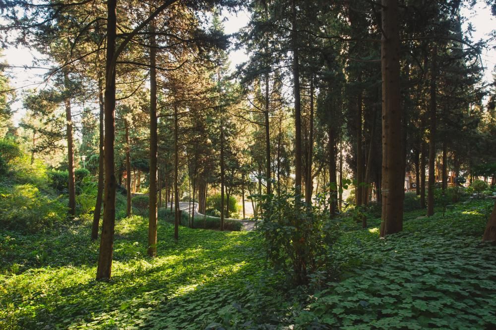 MORE SPA & RESORT (МОРЕ СПА), отель - 28