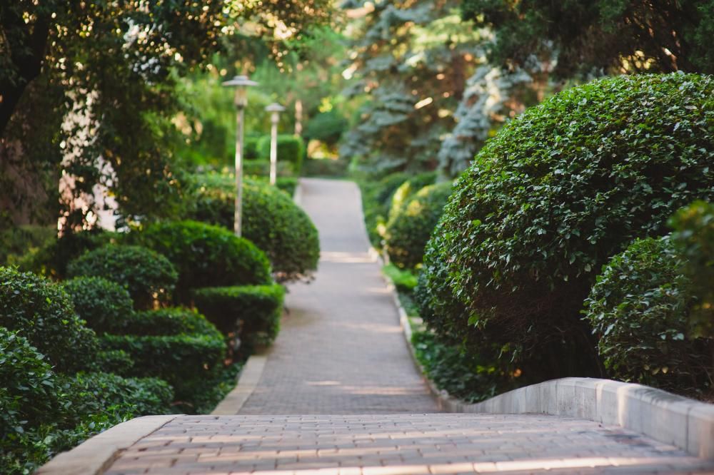 MORE SPA & RESORT (МОРЕ СПА), отель - 27