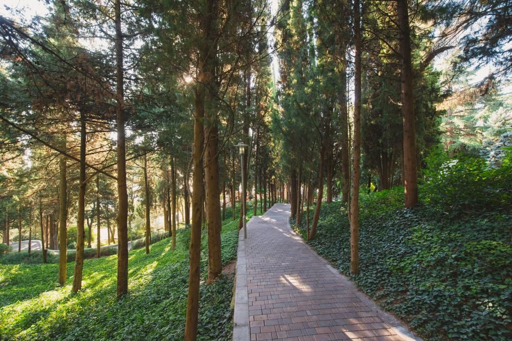 MORE SPA & RESORT (МОРЕ СПА), отель - 26