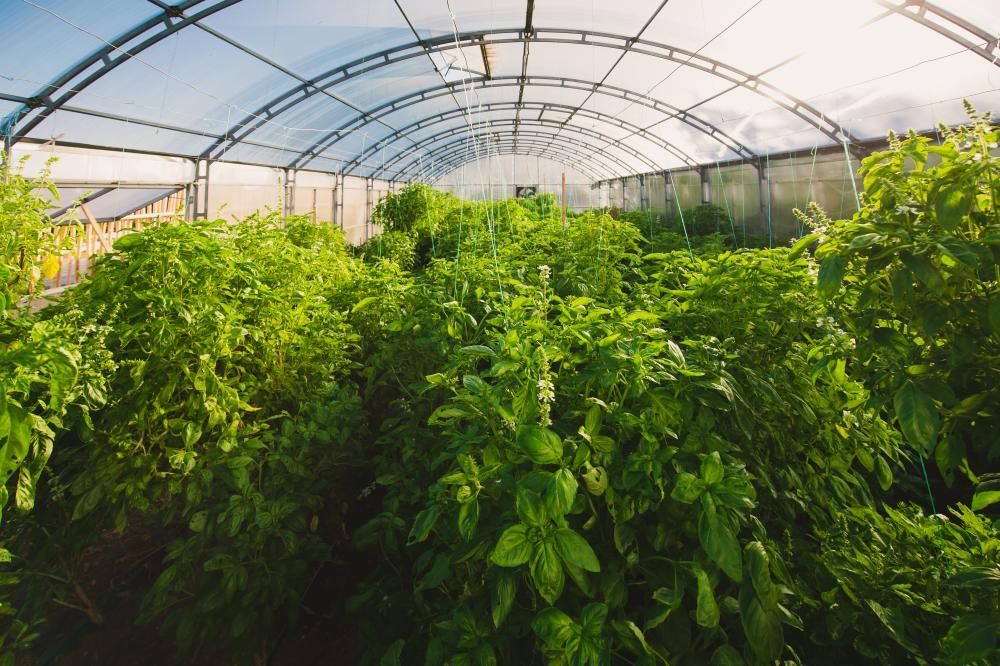 MORE SPA & RESORT (МОРЕ СПА), отель - 22