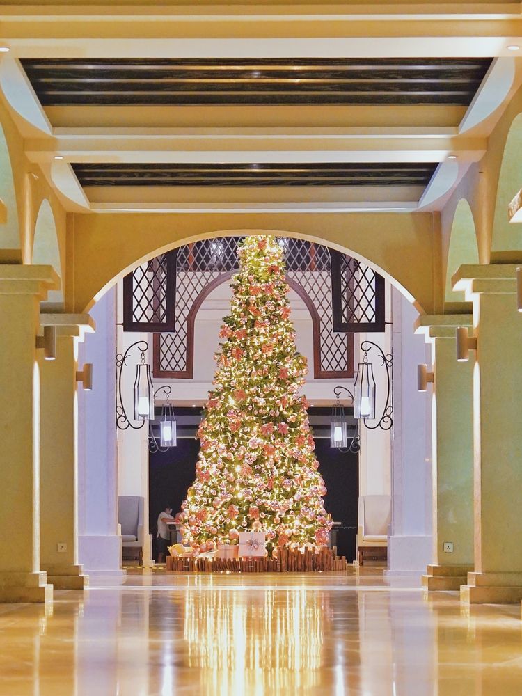 Картинка отеля - 17