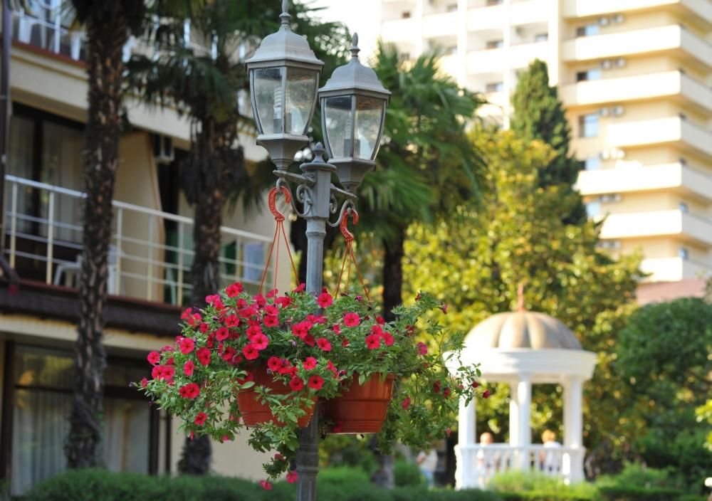 Картинка отеля - 4