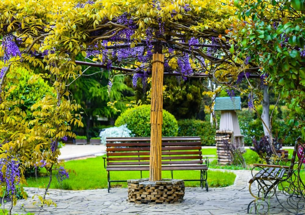 Картинка отеля - 8