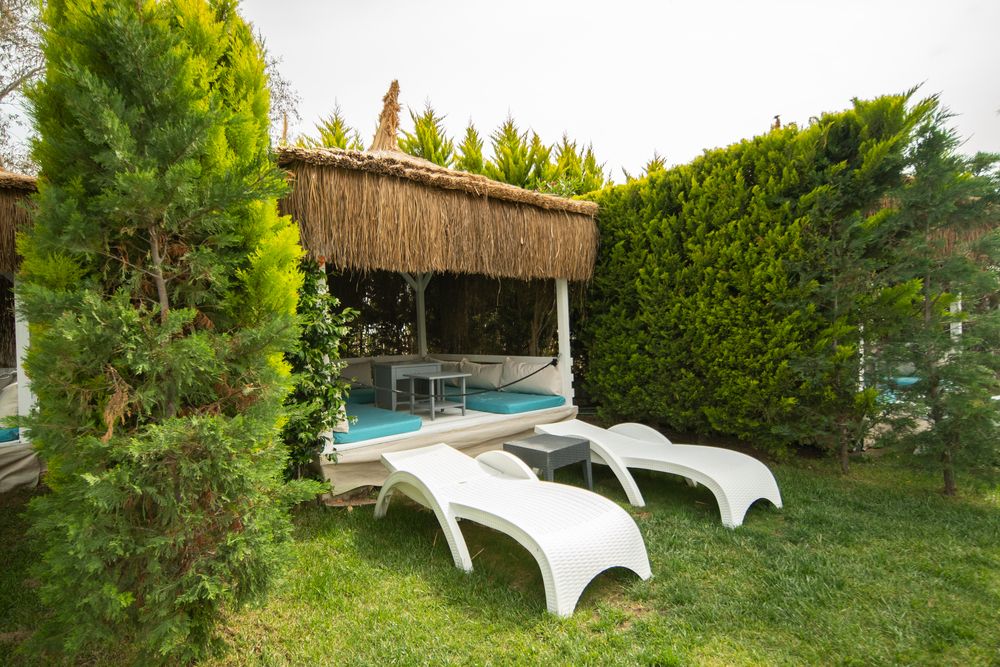 Tiana Beach Resort - 31