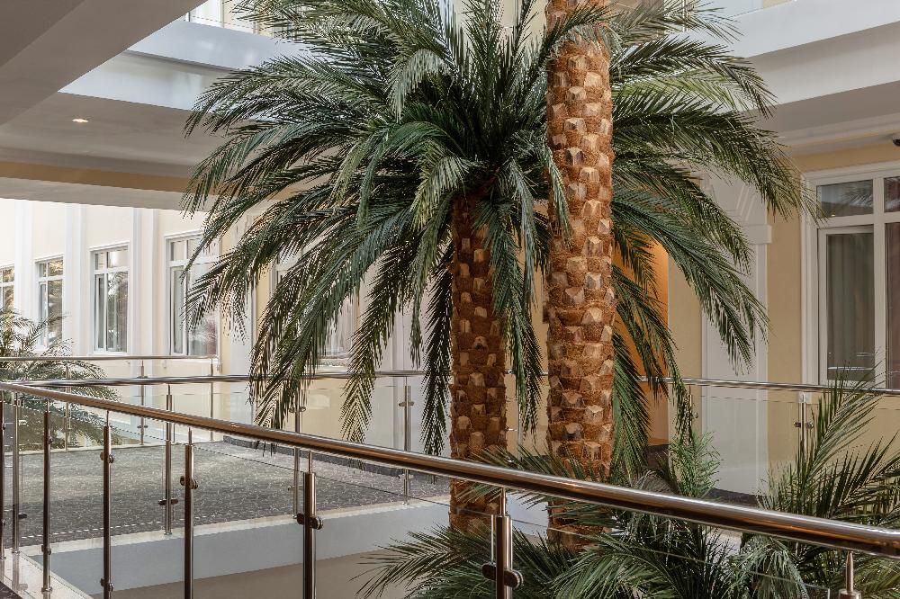 Картинка отеля - 11