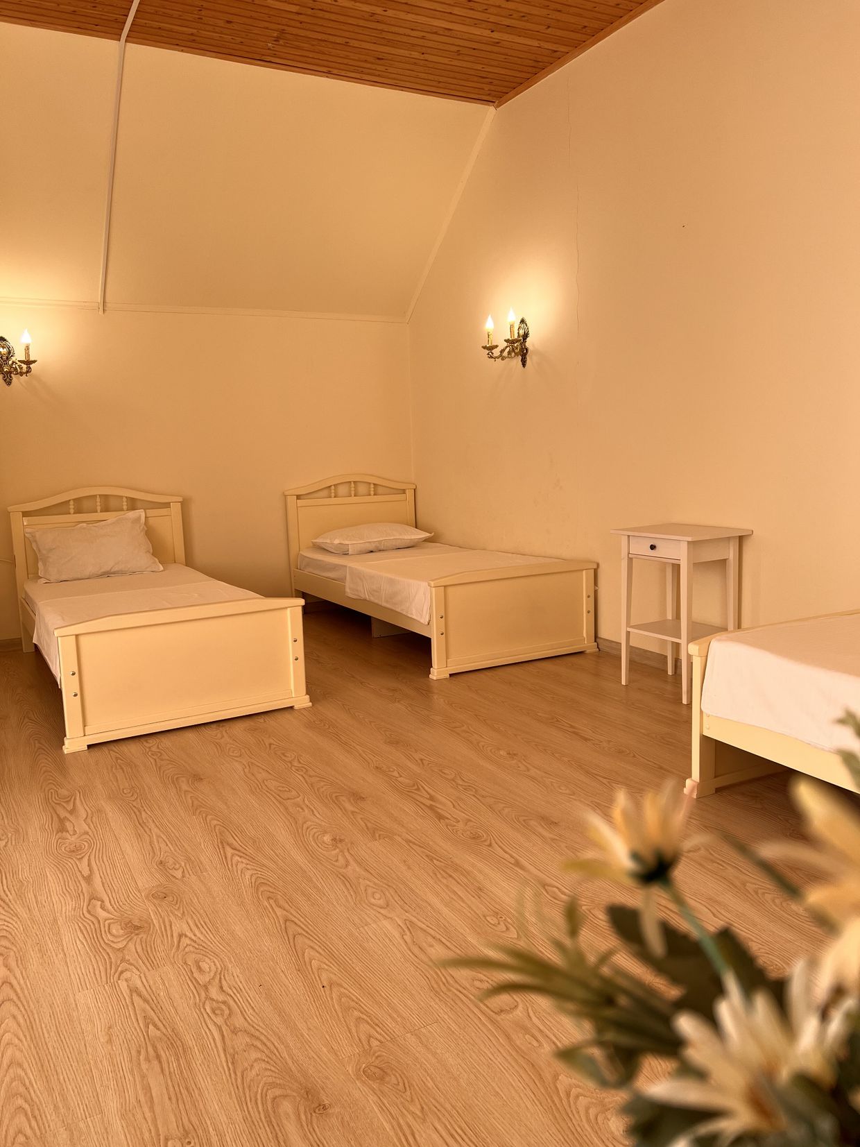 КАЛИПСО ПАЛАС, база отдыха - 43