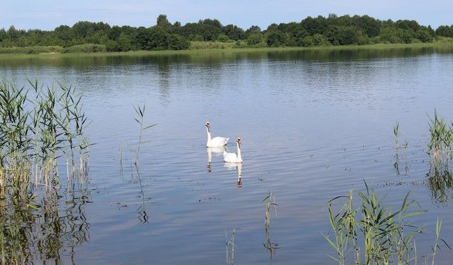 ГОЛУБЫЕ ОЗЕРА, санаторий - 6