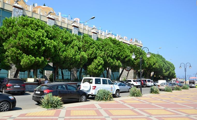 КИЕВ, санаторий (Алушта) - 6