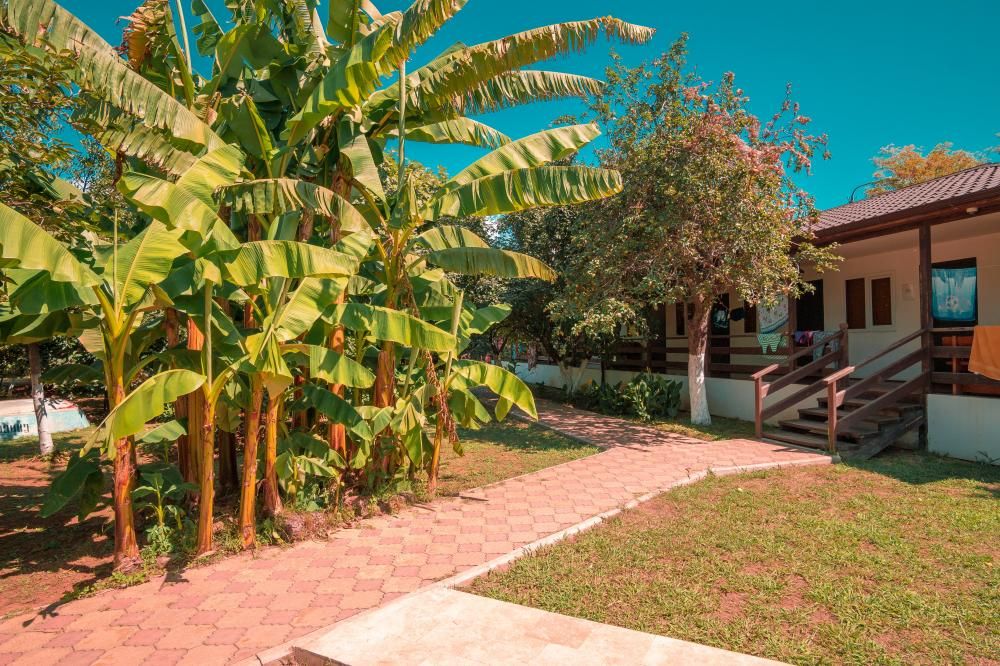 Картинка отеля - 15