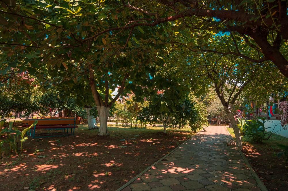 Картинка отеля - 19