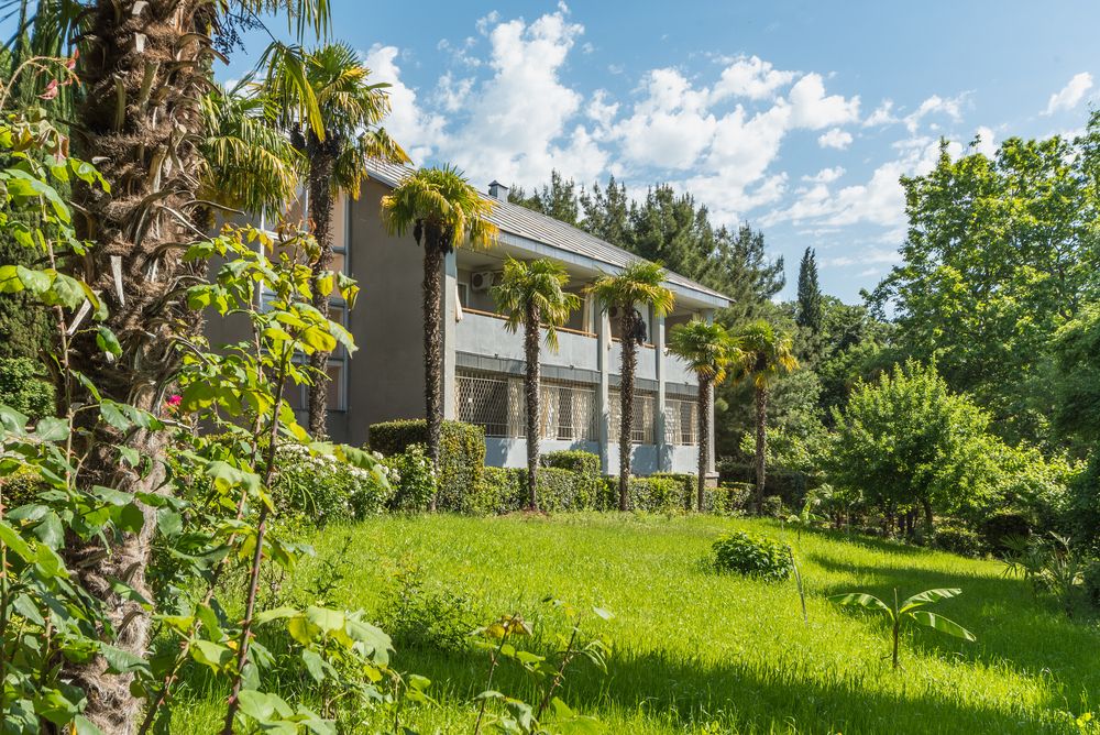 НИЖНЯЯ ОРЕАНДА, санаторий (Ореанда) - 19