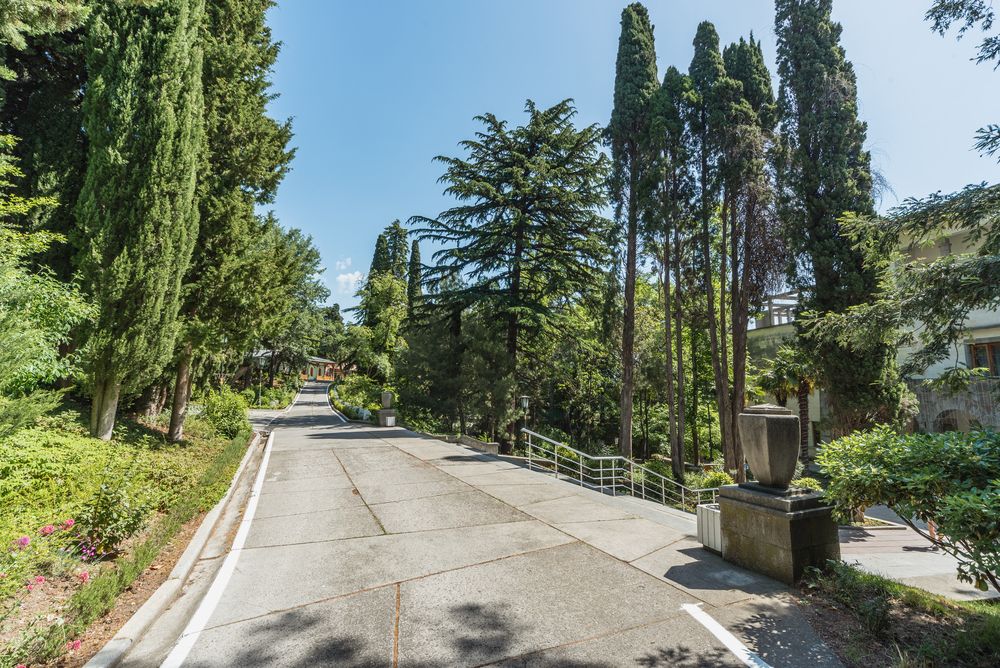 НИЖНЯЯ ОРЕАНДА, санаторий (Ореанда) - 37